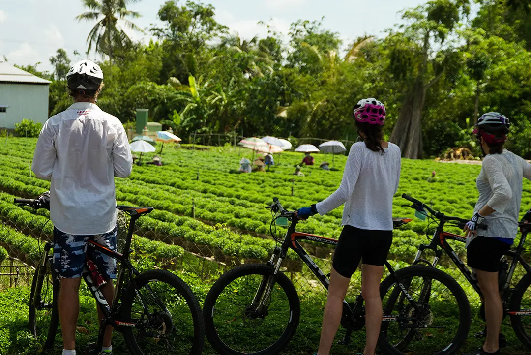 Vietnam Cycle to Cambodia and Thailand 27 Days